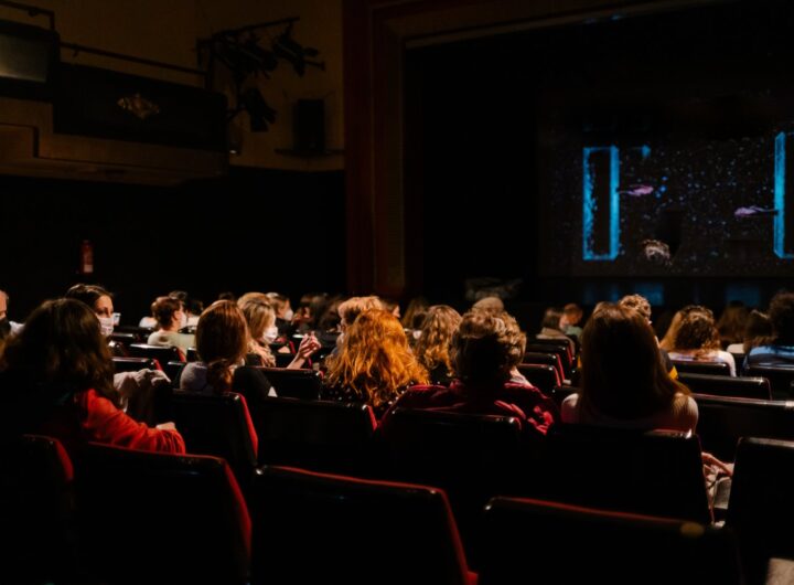 people with a mask watching a show in a theater ma 2023 11 27 05 20 33 utc